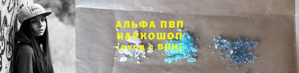PSILOCYBIN Балахна