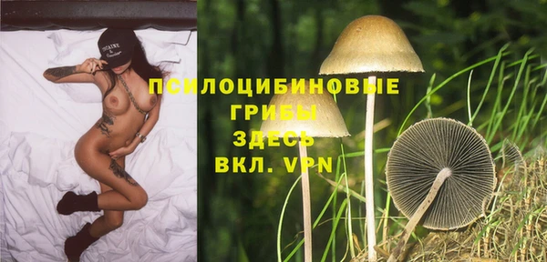 PSILOCYBIN Балахна