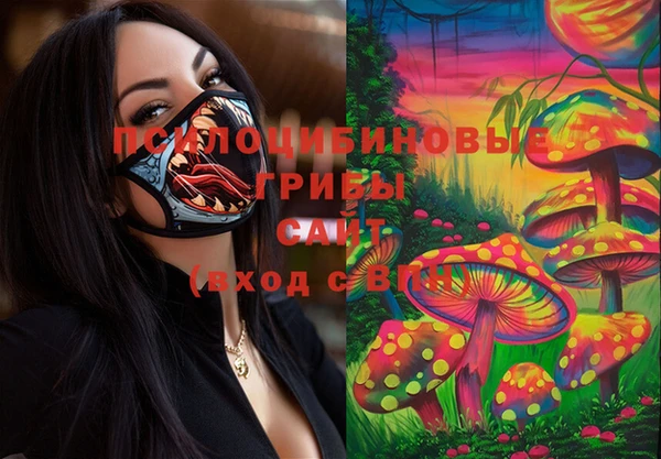 PSILOCYBIN Балахна